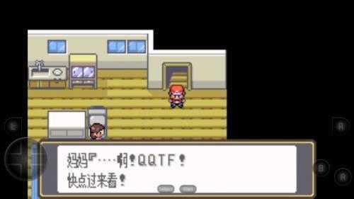 口袋妖怪黑白安卓版图1